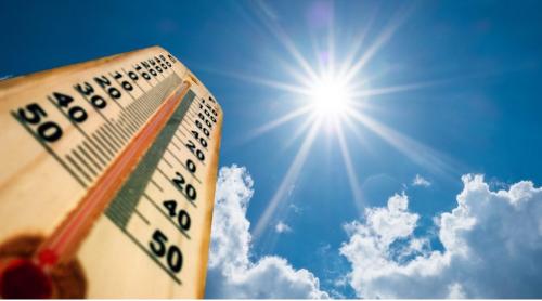 Caniculă: din Italia până în California, lumea se sufocă