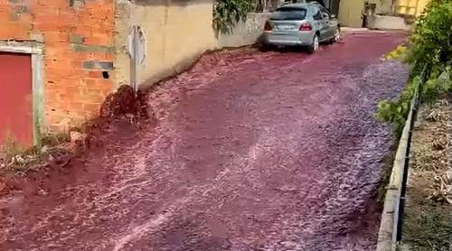 Portugalia: un sat inundat de un torent de vin roșu