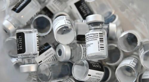SUA și statele europene iau măsuri pentru a produce și cumpăra vaccinuri împotriva extinderii gripei aviare la oameni, pentru a evita o pandemie