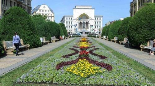 Fabuloasa Românie. Timişoara - oraşul cu braţele încărcate de trandafiri