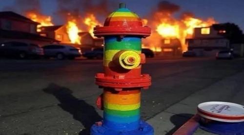 Guvernatorul democrat al Californiei ordonă o investigație asupra hidranților fără apă în timpul incendiilor