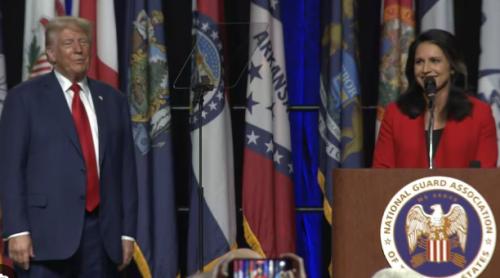 Turul european al lui Tulsi Gabbard: cel mai controversat punct este presupusa implicare a UE în anularea alegerilor prezidențiale din România