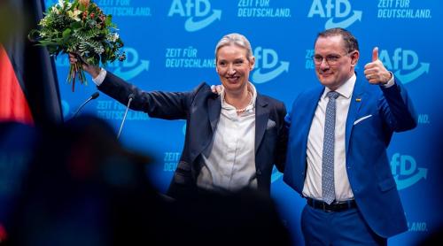 Germania: AfD ajunge pentru prima dată pe primul loc în sondaje