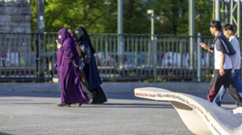 Germania: AfD a refuzat să semneze un acord între partide care interzice comentariile negative despre imigrația în masă