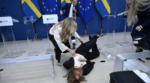 Noul ministru al Sănătății din Suedia s-a prăbușit în timpul conferinței de presă (video)