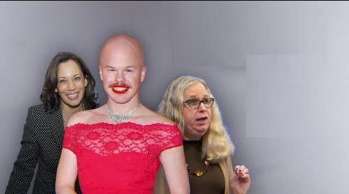 Ideologia transgender, semnul pierderii de repere a Partidului Democrat