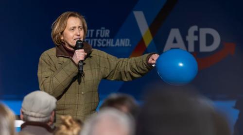 Vicepreședinta AfD face o vizită surpriză la Casa Albă