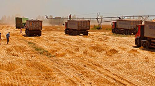 Victorie importantă pentru CEREALCOM DOLJ la GAFTA Londra într-o dispută comercială internațională în valoare de peste 400 de milioane de dolari