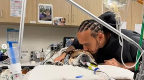 „Cea mai grea decizie din viața mea, mi-am pierdut ce mai bun prieten”: mesajul trist al pilotului Lewis Hamilton după moartea câinelui său Roscoe
