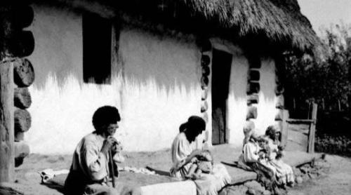 Tradiţii şi superstiţii. Filipii de toamnă - ce ai voie şi ce nu ai voie să faci în această zi