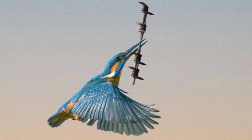 Noua cursă a înarmărilor din Occident: Vânzarea păcii pentru a cumpăra războiul