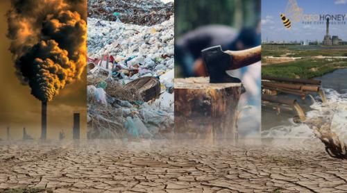 „Dezinformare climatică”: gândește greșit, plătești scump