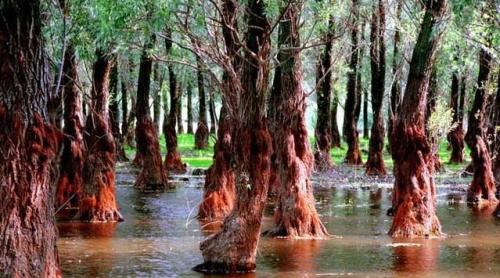 Fabuloasa Românie. Letea - toamna în Deltă