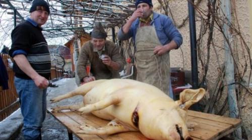 Crăciunul de altădată. Ziua de Ignat. Cum se taie porcul la olteni