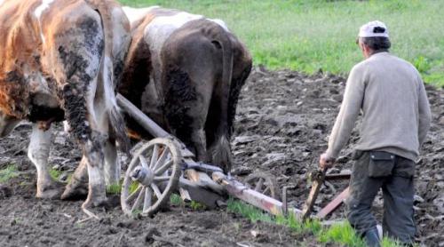 Reportaj la ţară. Țăranul imperial şi tânărul fermier. Doi oameni, două destine