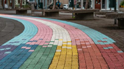 Consiliul Europei promovează interzicerea terapiei de conversie. Ar putea chiar incrimina conversațiile legitime dintre părinți și propriii copii