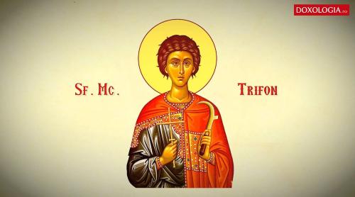 Calendar ortodox 1 februarie: Sfântul Mucenic Trifon