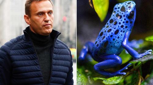 Rusia l-a otrăvit pe Alexei Navalnî cu o toxină din broaștele din Ecuador, susțin cinci țări occidentale