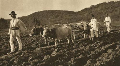 Tradiţii şi superstiţii. Obiceiuri din străbuni la arat şi semănat