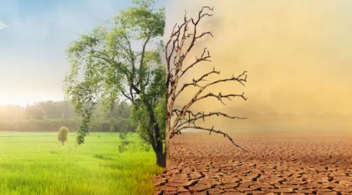 Un nou studiu pune sub semnul întrebării indicatorul-cheie al încălzirii globale folosit de comunitatea științifică. Implicațiile ar putea fi semnificative