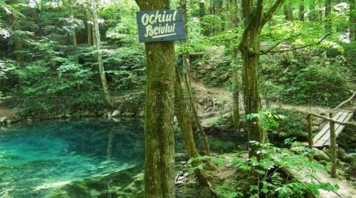 Fabuloasa Românie. Cheile Nerei – apă și stâncă