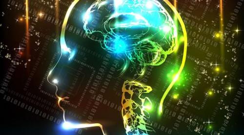 Cum să-ţi întinereşti creierul cu 10 ani