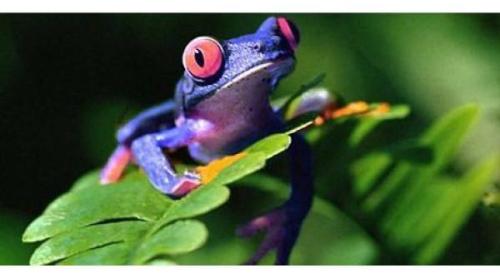 Tradiții și superstiții. Cum poți fi apărat de înec