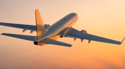 Cu canistra sau cartela la avion? 