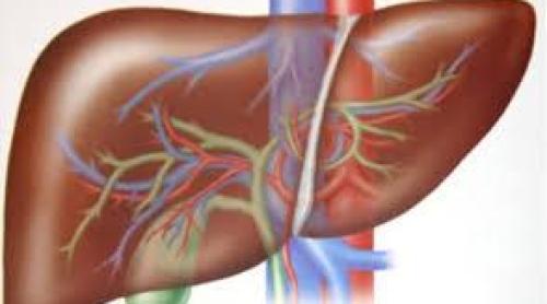 Steatoza hepatică non-alcoolică poate fi ţinută sub control cu exerciţii fizice zilnice şi o alimentaţie bogată în vitamina E