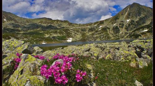 Fabuloasa Romanie. Traseu de Mai. De la Valea Pietrele spre Lacul Bucura