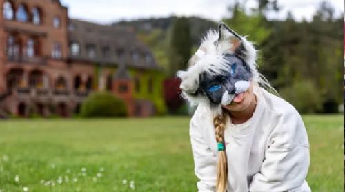 Portugalia: medicii veterinari refuză consultațiile pentru persoane care se identifică drept animale