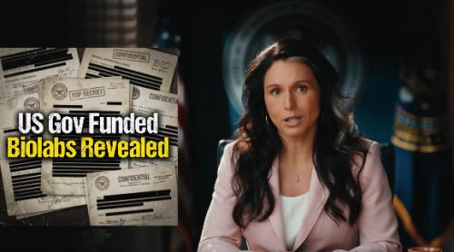Tulsi Gabbard dezvăluie dovezi privind un program global de laboratoare biologice, inclusiv în Ucraina, finanțat din banii contribuabililor americani