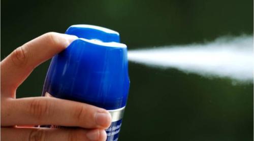 Căldură, muşte, ţânţari? Pericolul acumulării spray-ului contra insectelor în casă