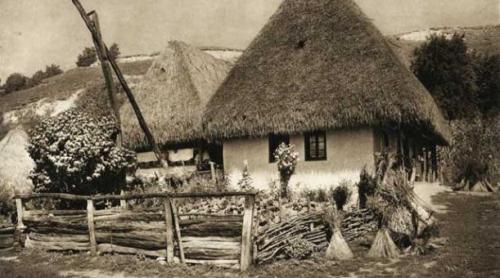 Circovii de vară – miezul verii pastorale