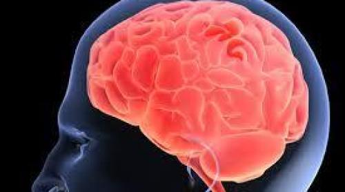 Gena BRCA1, implicată în cancerul de sân, de ovare, dar şi în maladia Alzheimer