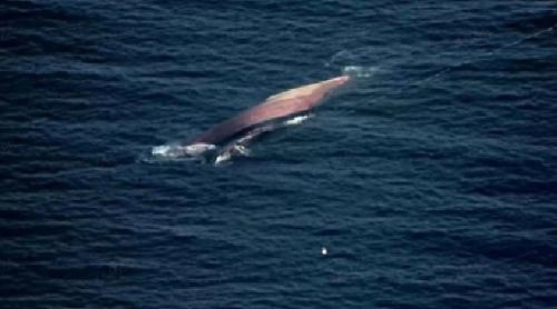 Risc de catastrofă ecologică în Marea Neagră după scufundarea navei Golden Leo: peste150 de tone de combustibil amenință coasta Odesei