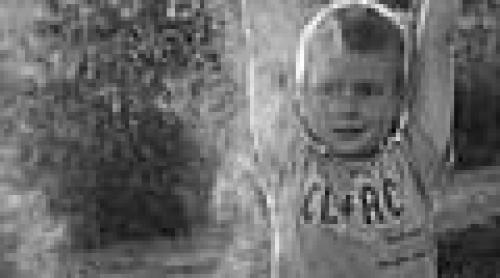 Praful din case, cauza obezităţii la copii
