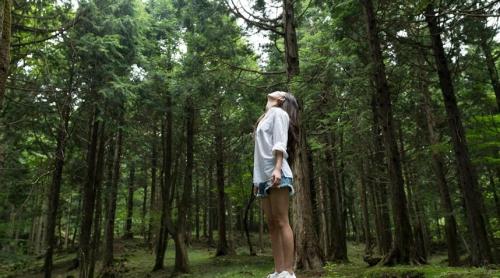 Aerul de pădure îți stimulează sistemul imunitar… timp de o lună întreagă, arată un studiu japonez