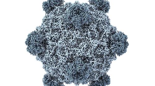 În timp ce lumea așteaptă tratamente din partea cercetătorilor știițifici, ei au alte preocupări - Inteligența artificială creează un virus nemaiîntâlnit până acum