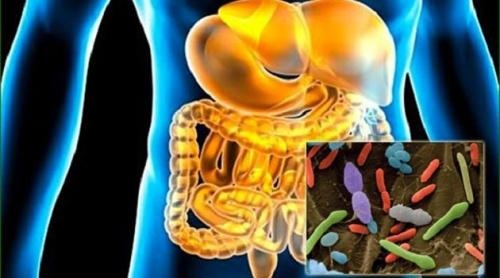 Modificarea florei intestinale, o soluție contra autismului!