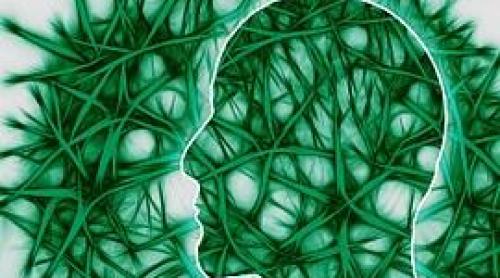 Trigliceride şi o peptidă neurotoxică implicate în apariţia maladiei Alzheimer