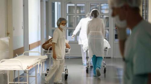 Franța: primul caz de deces uman cauzat de virusul bovin Shamonda transmis prin înțepături de musculițe