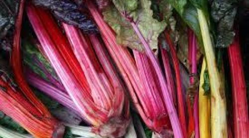 Rubarba conţine un pigment care stopează creşterea tumorilor canceroase